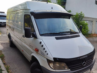 Mercedes Sprinter 313 foto 2