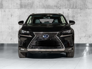 Lexus NX Series