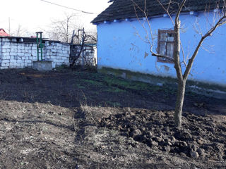 Vând casa în satul Pîrîta ( nu departe de Vadul lui Vodă) foto 1
