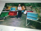 avem in vânzare miere  ,propolis si  familii de albini foto 3