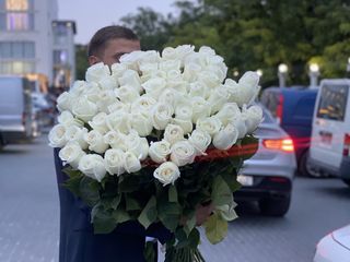 Розы в Молдове. Оптовые цены. Доставка по всей Молдове. foto 1