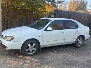 Nissan Primera foto 2