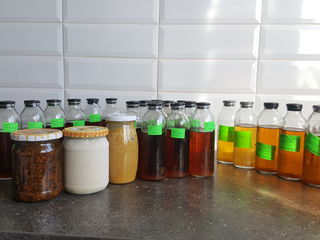 Настойка восковой моли, прополиса, пчелиного яда, перга, трутневое молочко и др. пчелопродукты foto 2