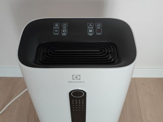 Dezumidificator de aer Electrolux EDM-25L foto 4