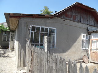 Продаем, меняем два хозяйства в г. Сынжерей (бывший Лазовск) Casă/Дом foto 4