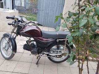 Alpha Moto zs50f foto 4