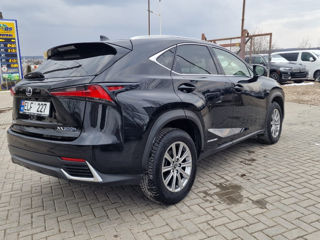 Lexus NX Series foto 6