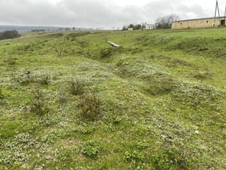 Teren agricol 1ha - vedere la Nistru s. Viscauti, certificat urbanism Agropensiune, 51mp constructie foto 7