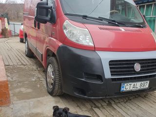 Fiat FIAT - DUCATO foto 4