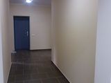 spatiu comercial, pentru  centru medical, oficii, business, comert, altele, prima linie pe bd.Mircea foto 6
