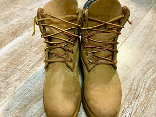 Timberland foto 3