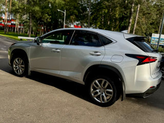 Lexus NX Series foto 13