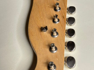 Telecaster neck foto 4