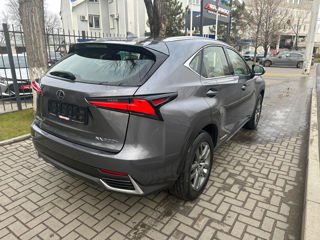 Lexus NX Series foto 5