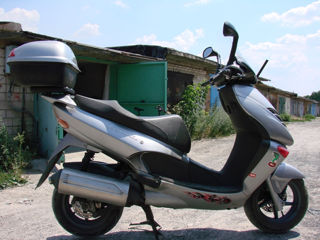 Aprilia Leonardo Scarabeo 125 - 250 cc Разборка ремонт любой сложности .