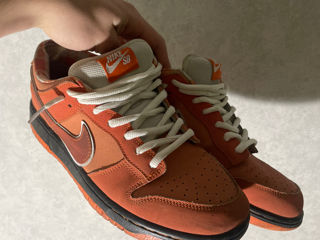 Nike dunk lobster foto 2