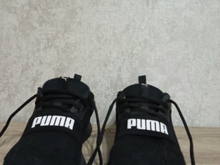 Puma wired run