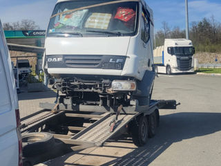 Daf LF55