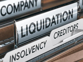 Lichidarea companiilor, asistență juridică în procesele de insolvabilitate. Mediere. Litigii. foto 3