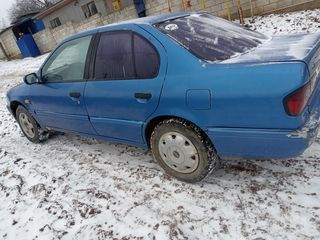 Nissan Primera foto 6