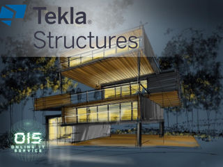 Tekla Structures / Структура Текла Цена как в объявлении