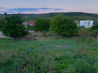 Teren pentru constructii (Ialoveni) foto 3