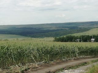 Teren pentru vile, loc pitoresc, 10 km de Chișinău! foto 1