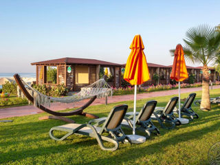 Turkey! "Pine Beach Belek" 5*! Plaja de nisip! Din 26.06 - 6 nopti! foto 6