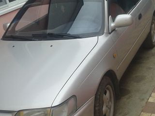 Toyota Corolla foto 2