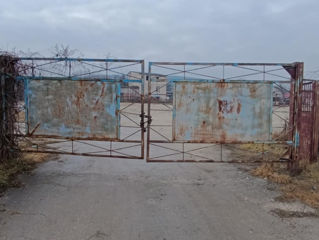 Teren pentru construcții 1,27 ha industrial, cu 2 depozite câte 500 M2 fiecare. foto 13
