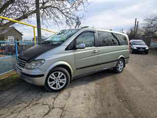 Mercedes Viano