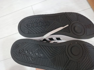 Adidas shoes foto 2