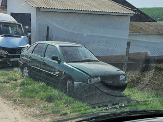 Volkswagen Polo foto 1