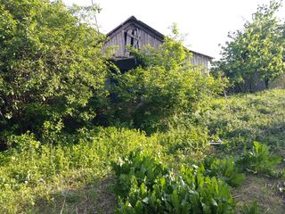 Casă  bătrînească in centrul satului Ilenuța foto 6