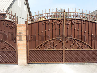 Balustrade, uși metalice, porți,  copertine,garduri, gratii,  alte confecții din fier forjat.