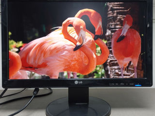 18.5" LG Flatron W1941S, 1366x768, 75 Hz, TN