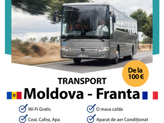 Transport Moldova Italia Pasageri Colete. Перевозки Молдова Италия Пассажиры 24/24 7/7 foto 6