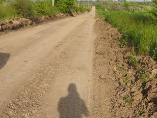 Servicii bobcat/ услуги bobcat, аренда foto 3