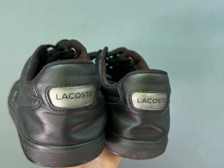 Lacoste shoes foto 4