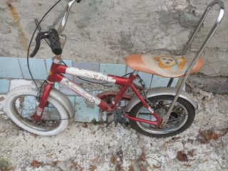 bicicleta foto 4