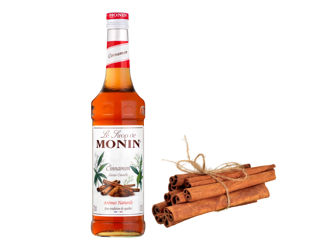 Sirop de scorțișoară monin cinnamon 700 ml livrare moldova