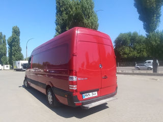 Mercedes Sprinter Frigorific foto 3