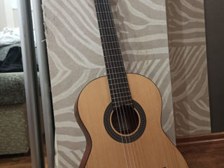 Гитара Salvador Cortez CS-234