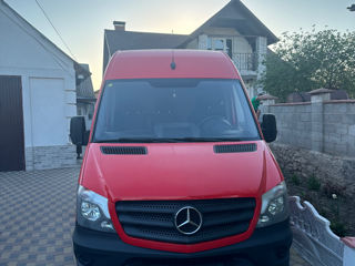 Mercedes Viano