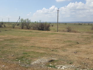 Teren cu destinatia pasuni de 10 arii foto 3