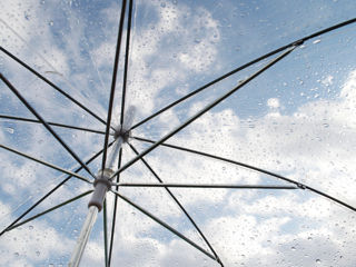 Стильный прозрачный зонт foto 8