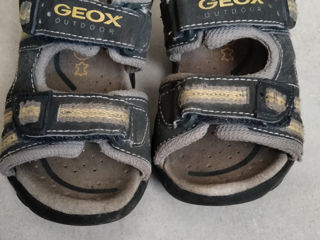 Geox foto 2