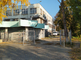 Производственно-офисное здание с землей , цена включает НДС foto 1