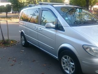 Mercedes Viano foto 5