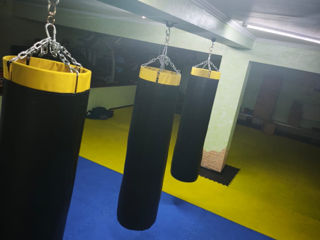 Saci de box 1.60 60kg  Acum la cel mai bun pret   livrare oriunde  foto 3